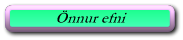 Önnur efni